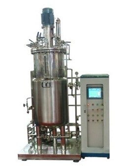 厭氧香蕉视频网页版