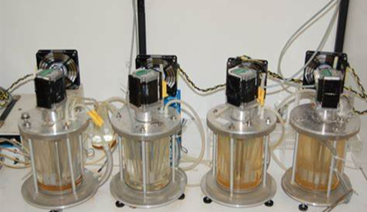 酶一级香蕉视频