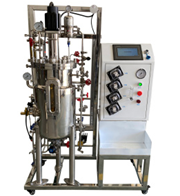 厭氧香蕉视频网页版