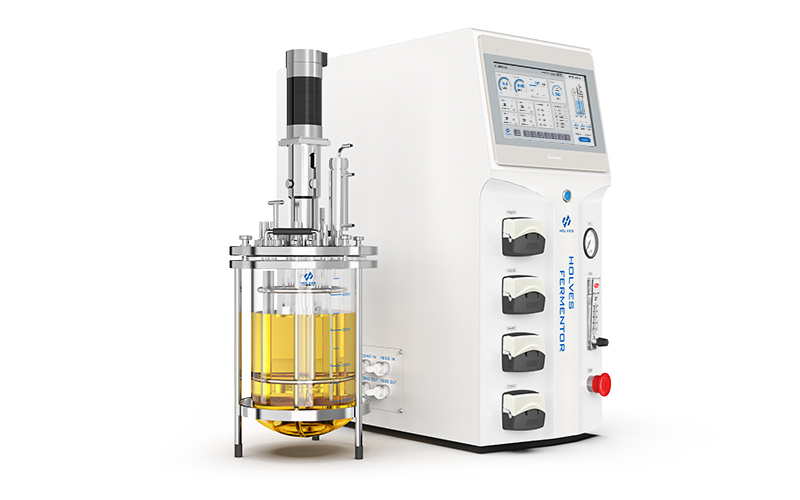 香蕉影视网站APP香蕉视频网页版Eu210
