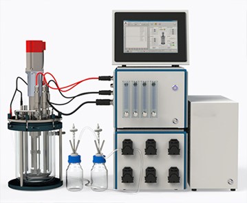 酶一级香蕉视频