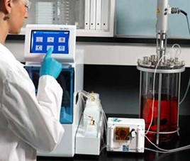 酶一级香蕉视频