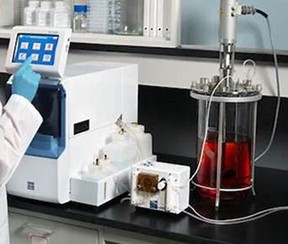 酶一级香蕉视频