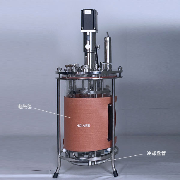 香蕉影视网站APP（HOLVES）實驗香蕉视频网页版