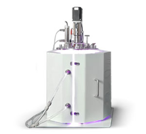 光照一级香蕉视频